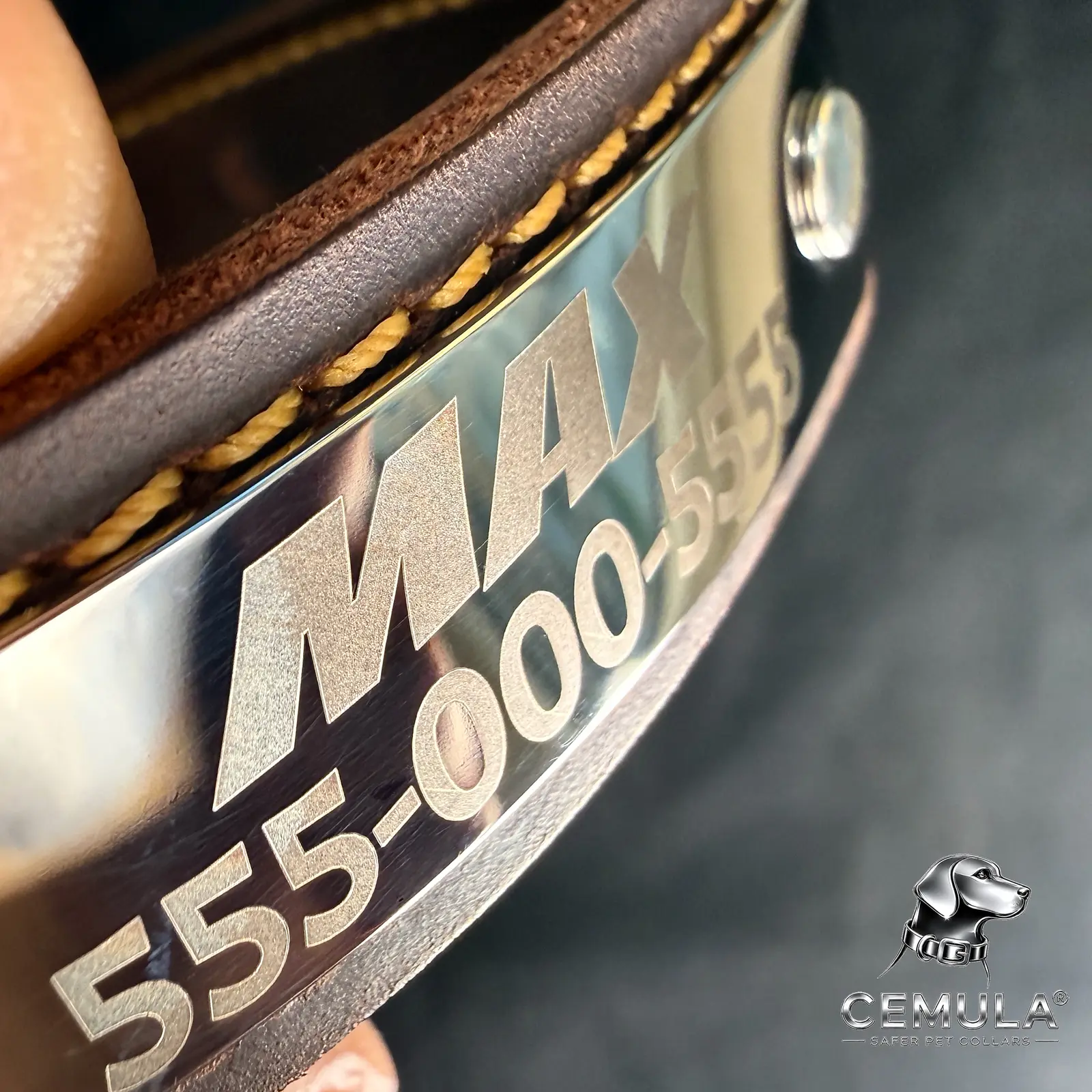 Close view of the riveted laser-engraved stainless steel recovery ID plate