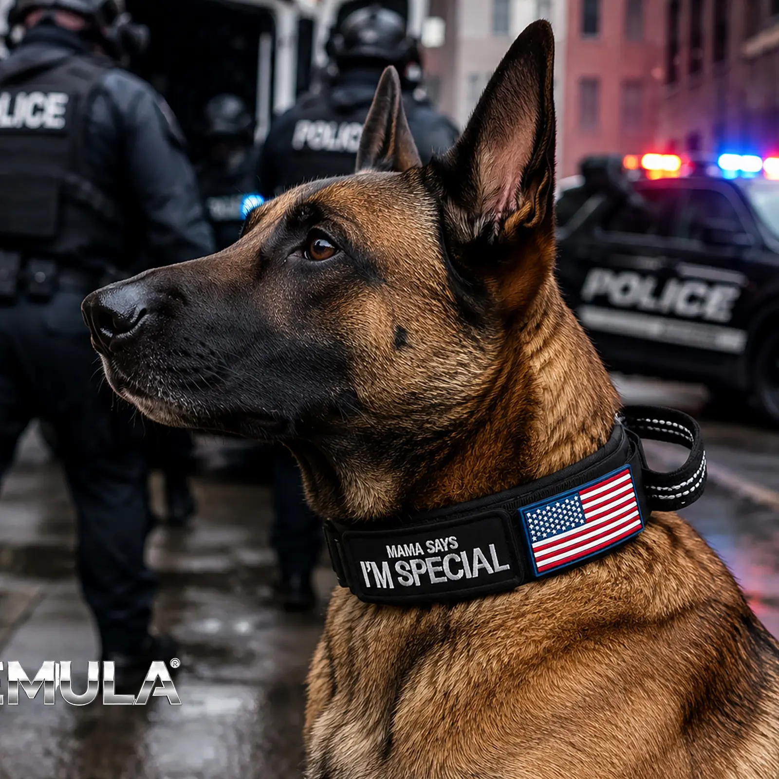 Dog wearing a CEMULA tactical recovery collar