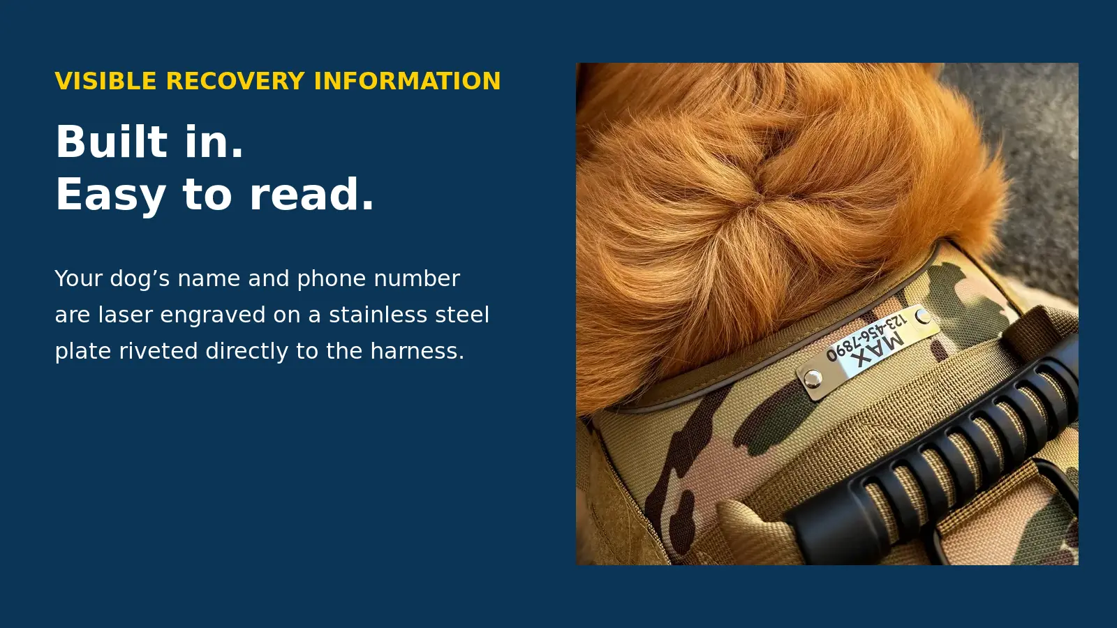 Visible recovery information riveted into the tactical harness