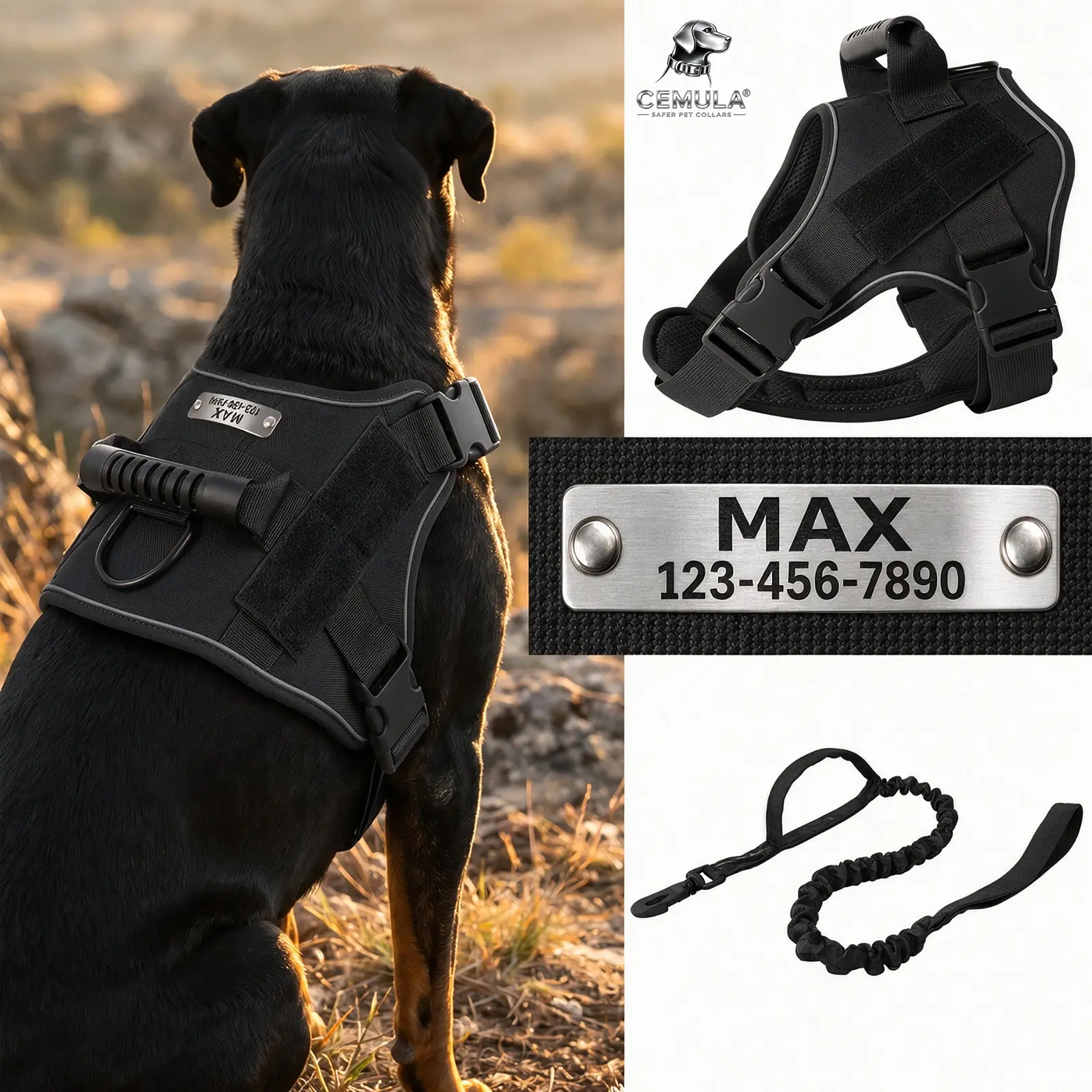 Black tactical harness and leash set